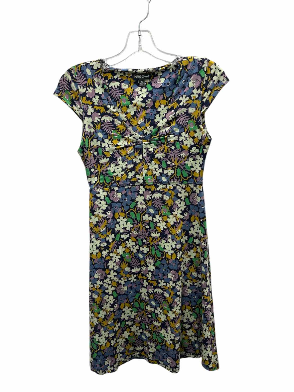 Toad & Co Size X Small Multi-Color Dress