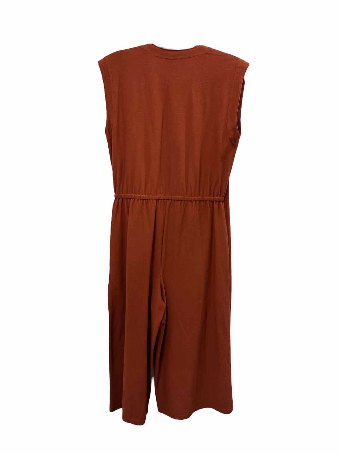 Eileen Fisher Size XS Pt rust Jumpsuit