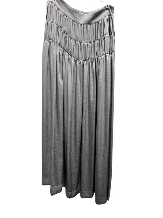 Frame Size Small Silver Skirt