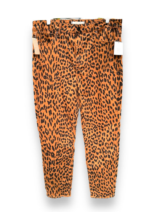 Articles of Society Size 12 Leopard Jeans